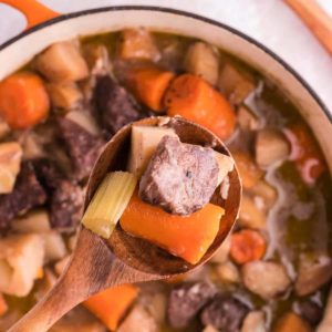 A spoonful of freshly cooked beef stew